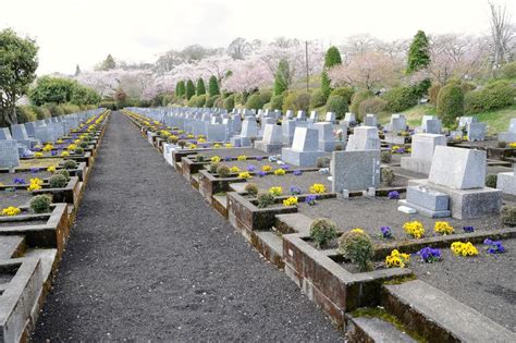 墓 植物|お墓に木を植えても大丈夫？植木の選び方や手入れ方法も解説！。